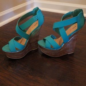 Teal wedges